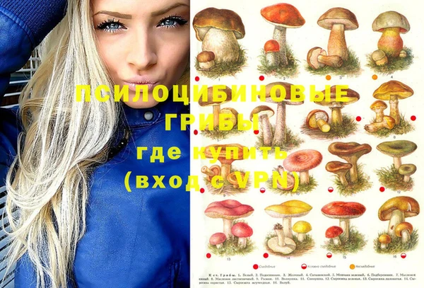 дурь Балахна